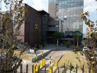 Imagine atasata: Iulius Town - 2019.08.30 - 80.jpg